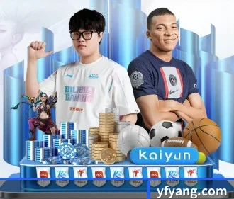 持续创新